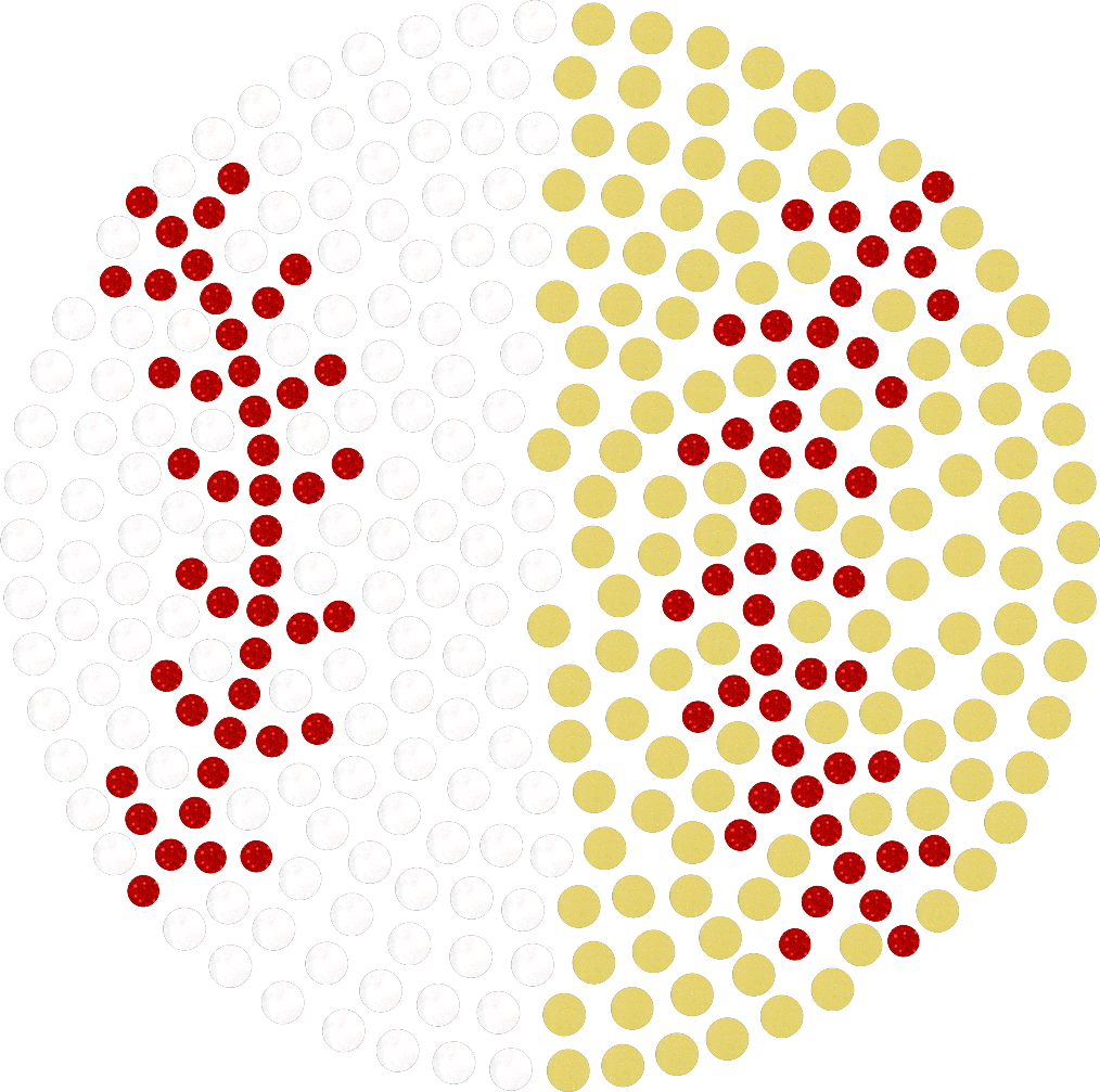 XS Base & Soft Mom Spangle Sports