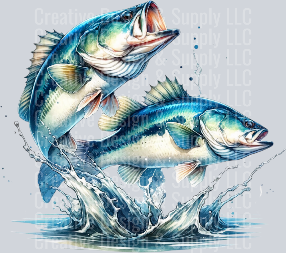 Fishing 2421