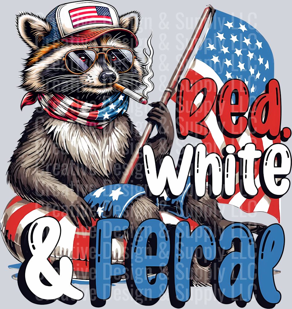 4th of July 2510