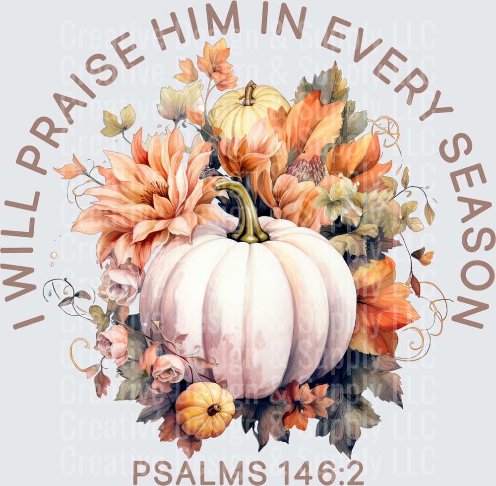 Fall 2558