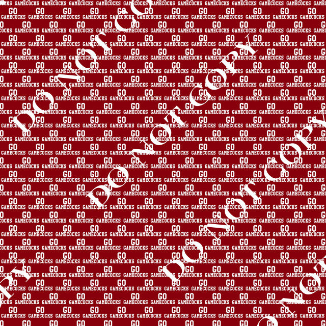 HTV South Carolina Gamecocks PPV