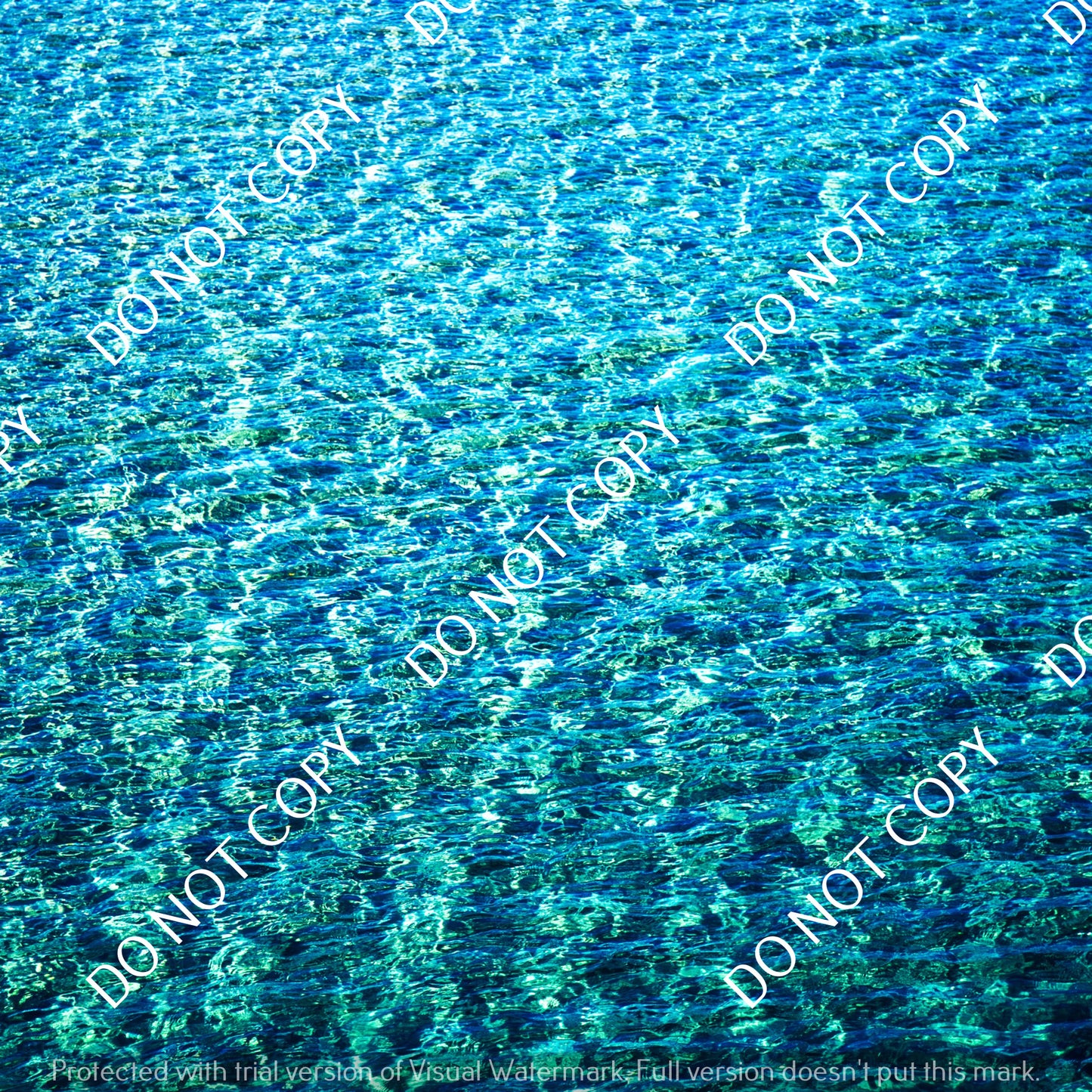 HTV Water Art PPV