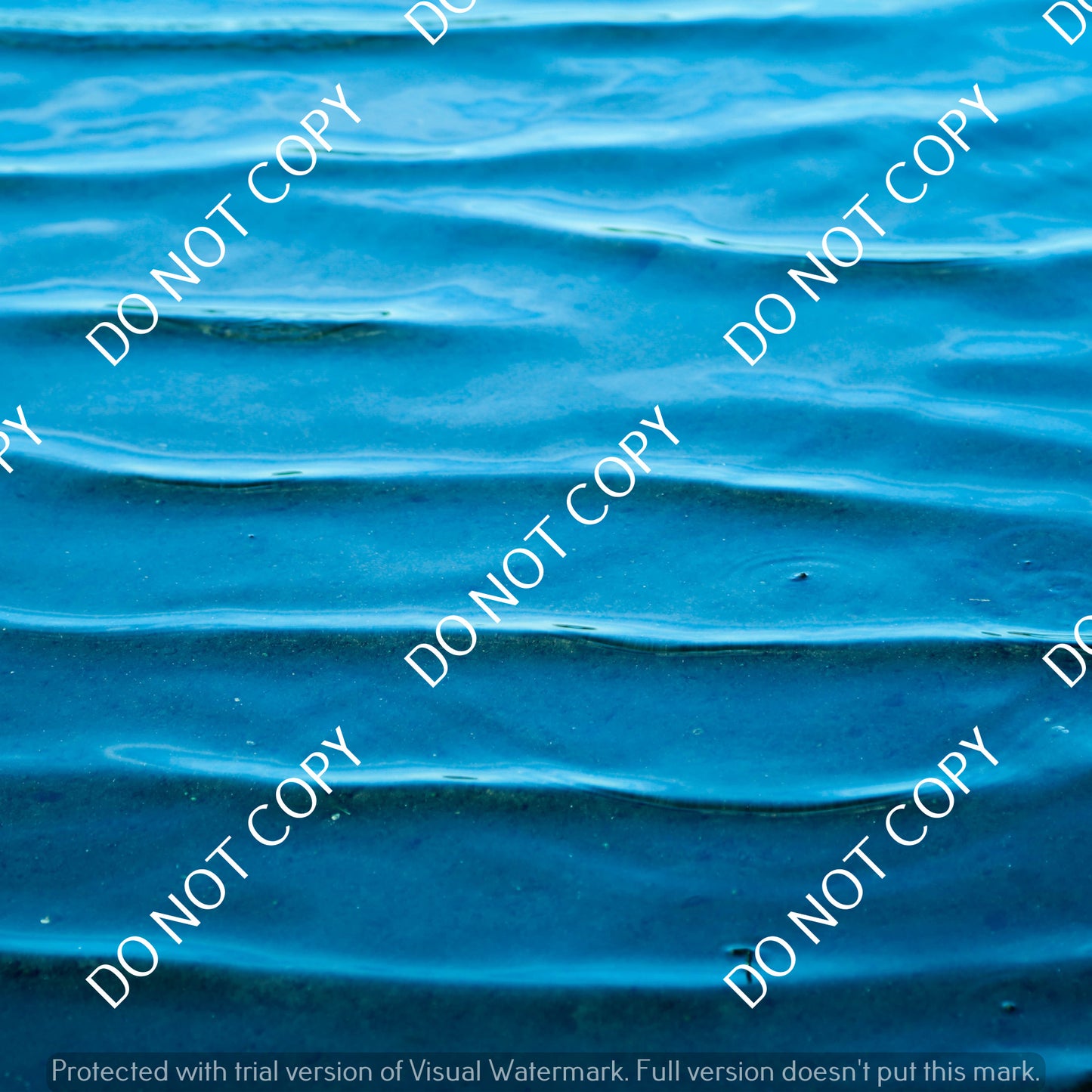HTV Water Art PPV