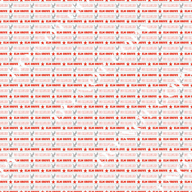 HTV Elm Grove Middle School PPV