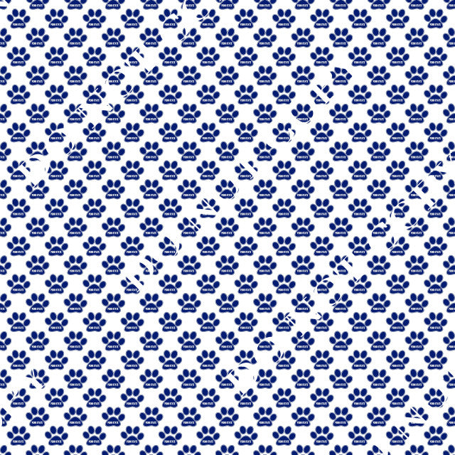 HTV Penn State Nittany Lions PPV