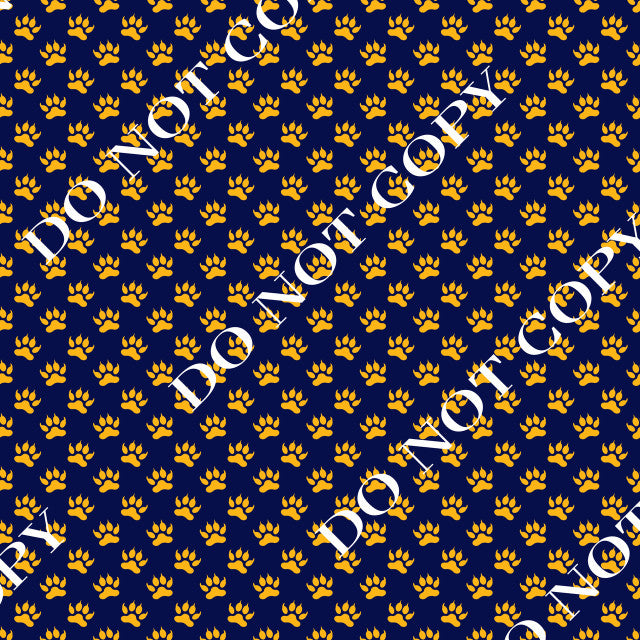 HTV Michigan Wolverines PPV
