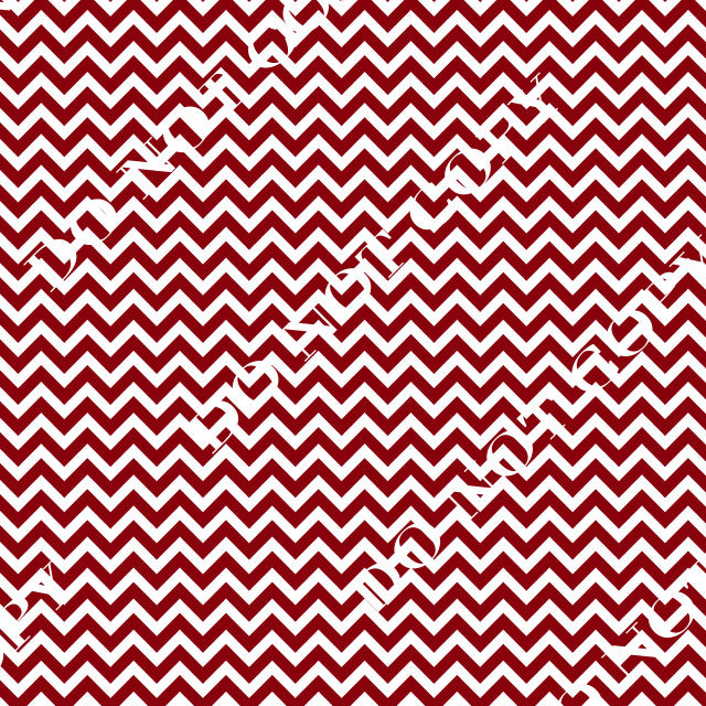 HTV South Carolina Gamecocks PPV