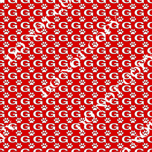 HTV Georgia Bulldogs PPV