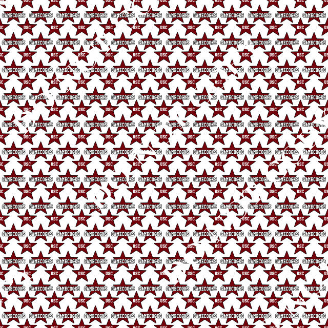 HTV South Carolina Gamecocks PPV