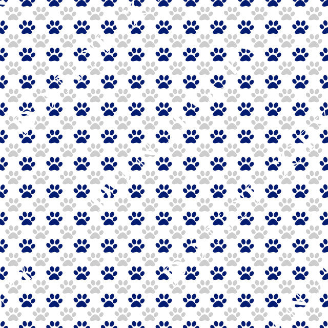 HTV Penn State Nittany Lions PPV