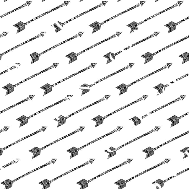 HTV Arrows PPV