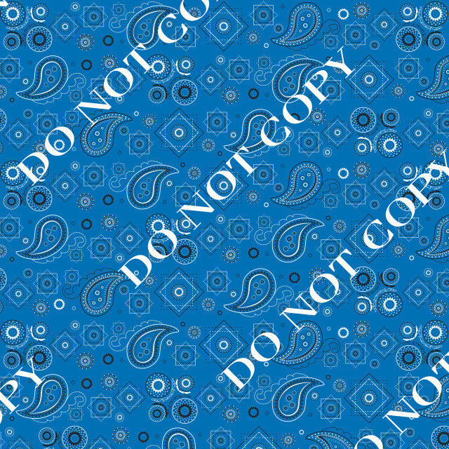HTV Bandana PPV