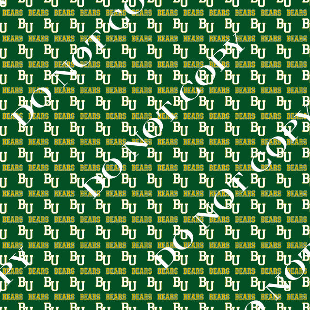 HTV Baylor Bears PPV