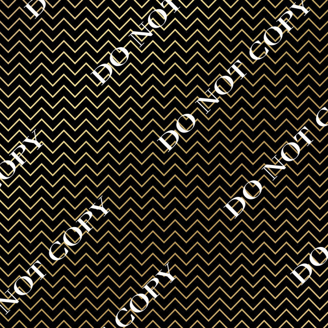 HTV Black/Gold CDS PPV