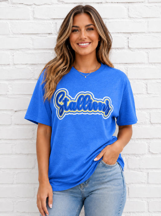 Stockwell Stallions Washed Denim CC RTW Tee