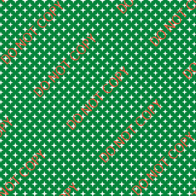 HTV Christmas Inspirations PPV