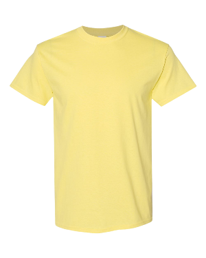 Gildan Heavy Cotton 5000/B