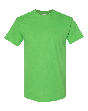 Gildan Heavy Cotton 5000/B