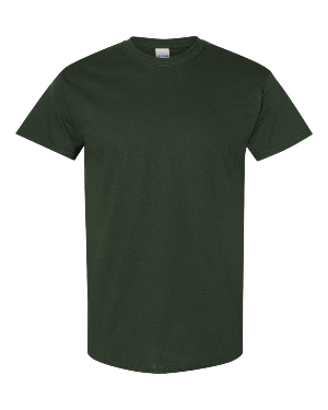 Gildan Heavy Cotton 5000/B