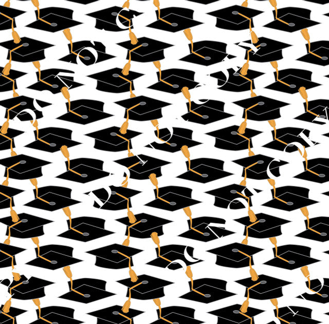 HTV Graduation Celebration PPV