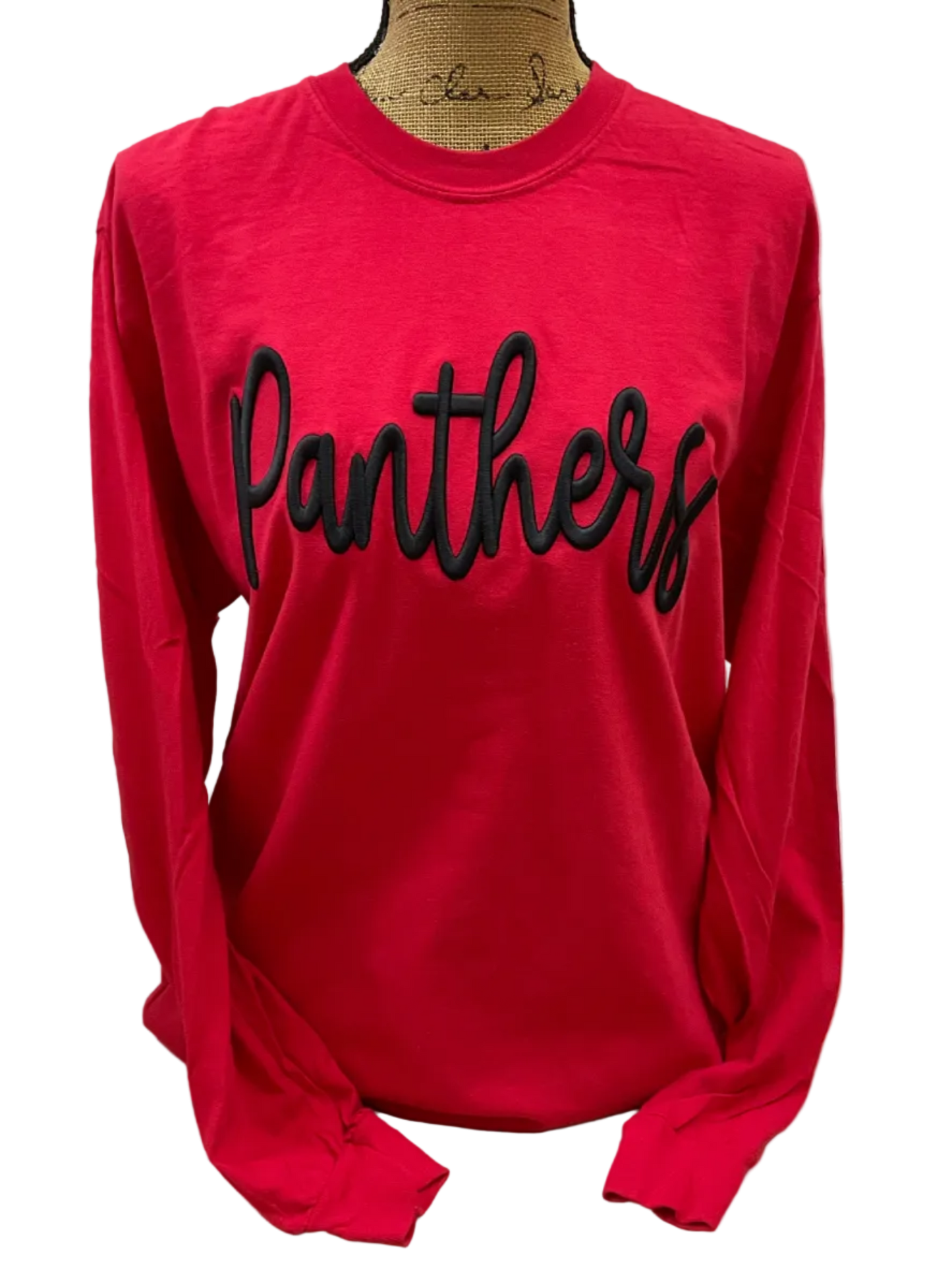 Panthers Embroidered Puff Comfort Colors Long Sleeve