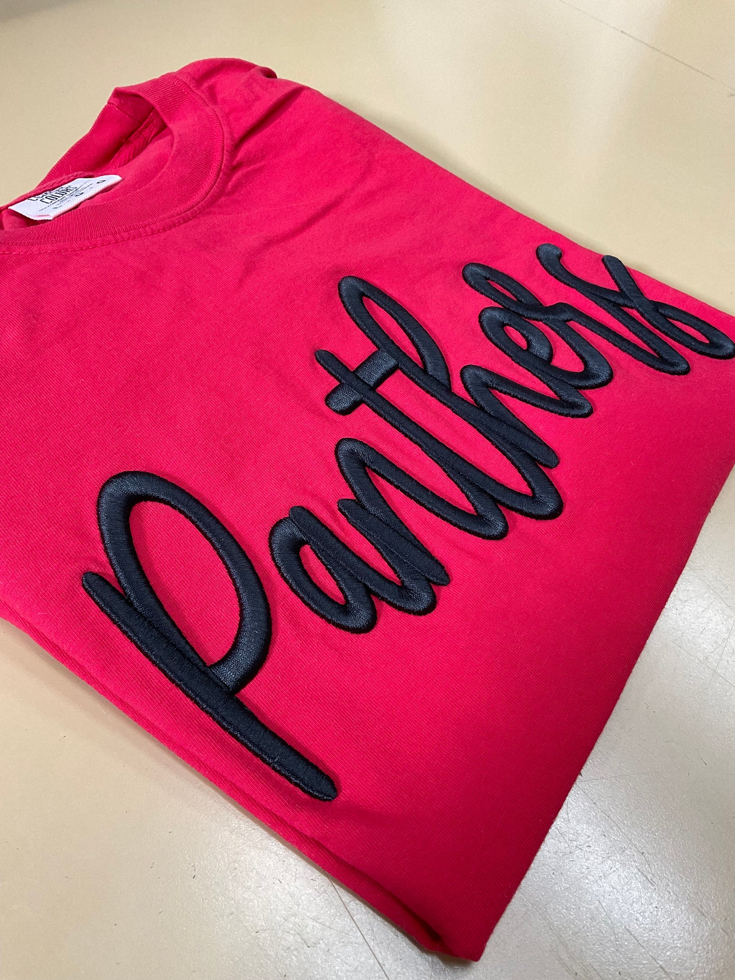 Panthers Embroidered Puff Comfort Colors Long Sleeve