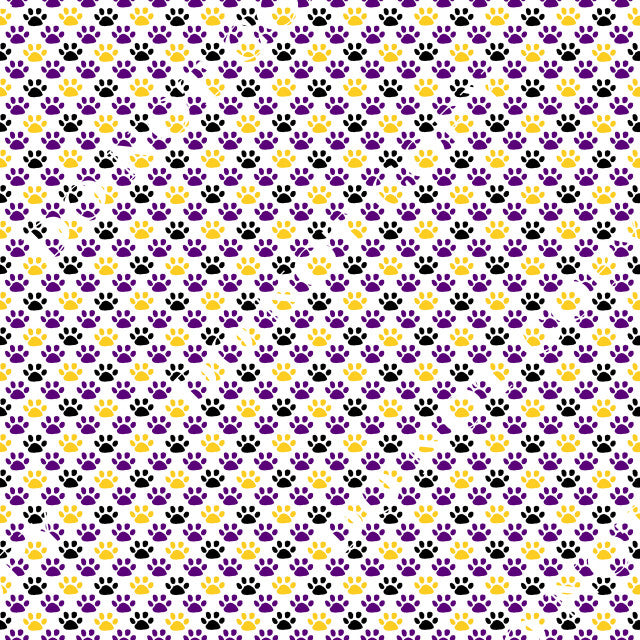 HTV LSU Tigers PPV