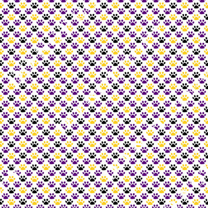 HTV LSU Tigers PPV