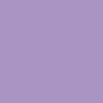 12" Siser EasyWeed