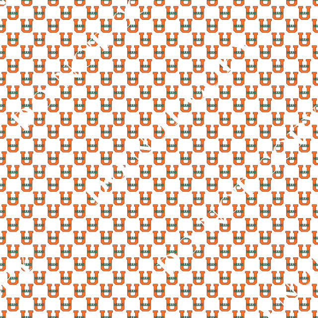 HTV Miami Hurricanes PPV