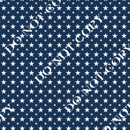 HTV Patriotic Stars PPV
