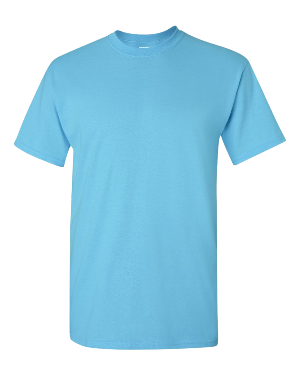 Gildan Heavy Cotton 5000/B