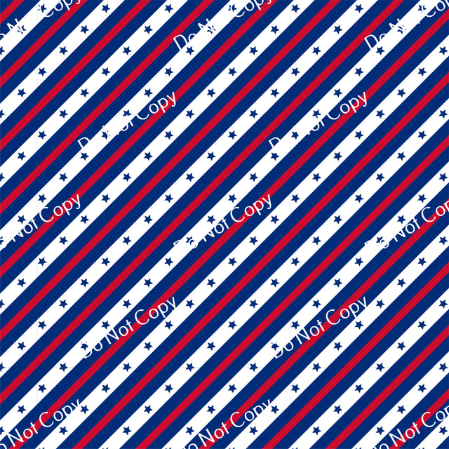 HTV Patriotic Stars & Stripes PPV