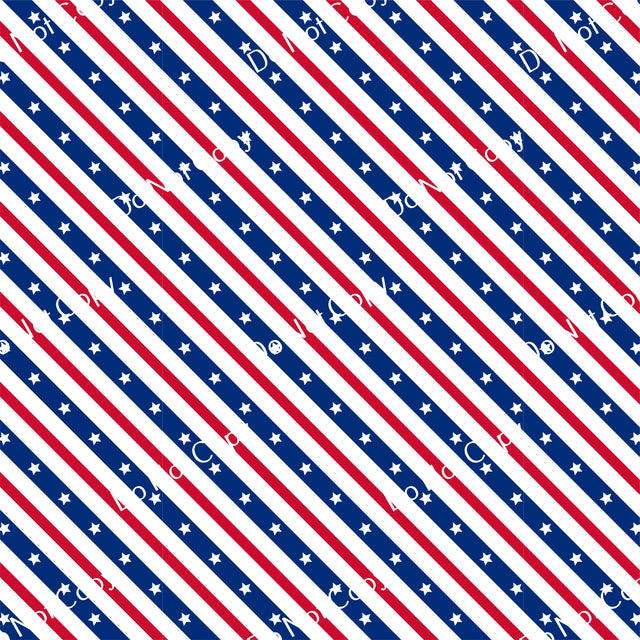 HTV Patriotic Stars & Stripes PPV