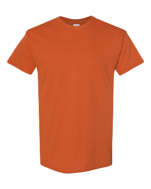Gildan Heavy Cotton 5000/B