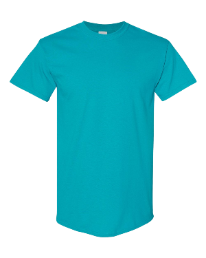 Gildan Heavy Cotton 5000/B