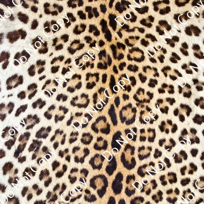 HTV Safari Animals PPV