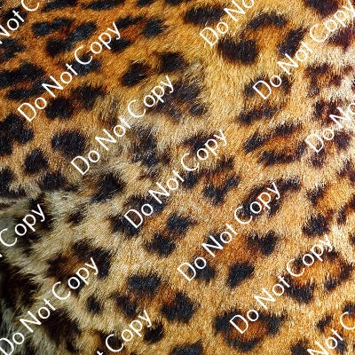 HTV Safari Animals PPV