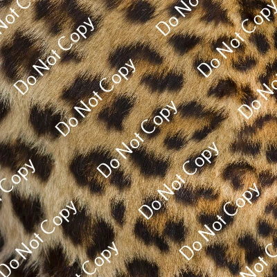 HTV Safari Animals PPV