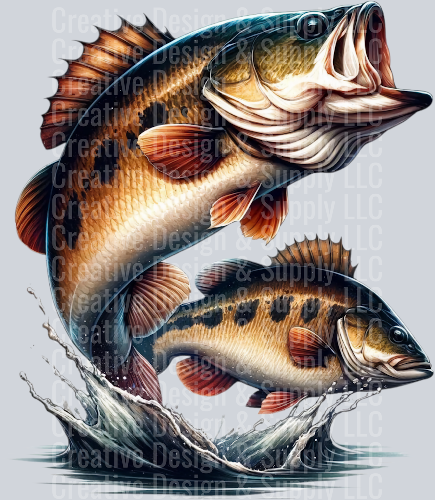 Fishing 2427