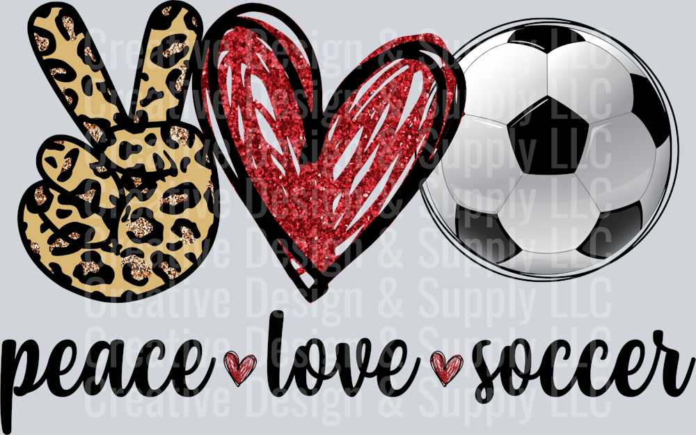 Soccer 2310