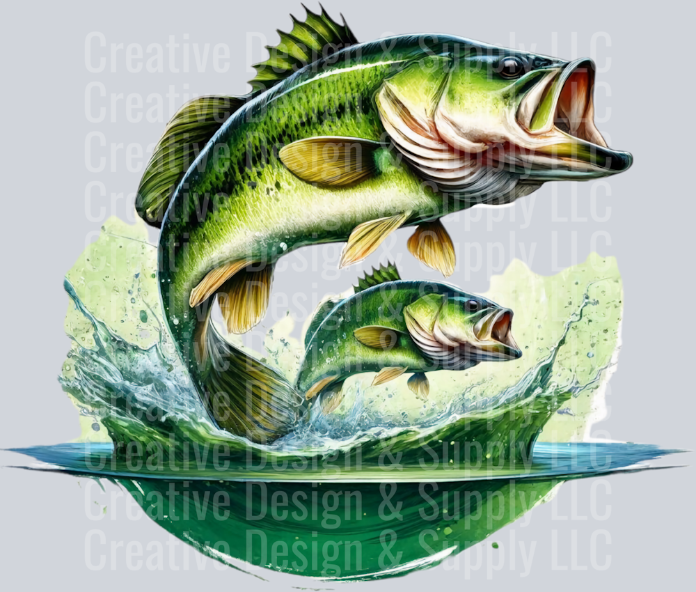 Fishing 2425