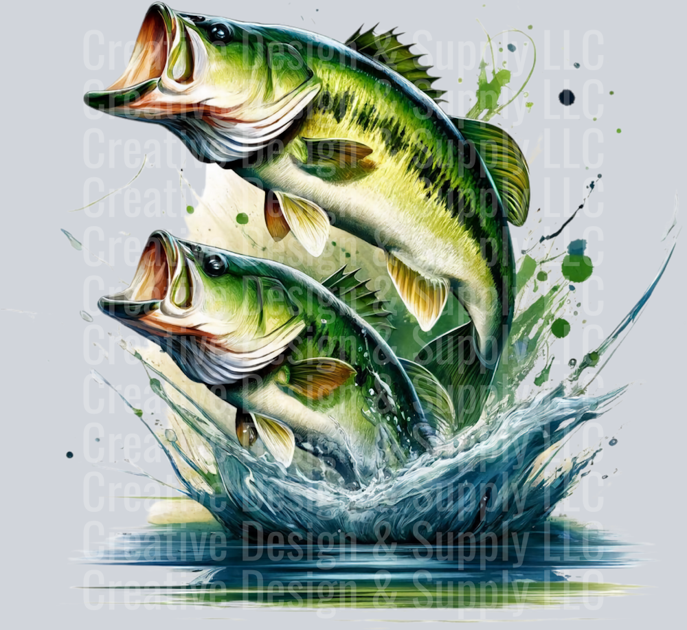 Fishing 2426
