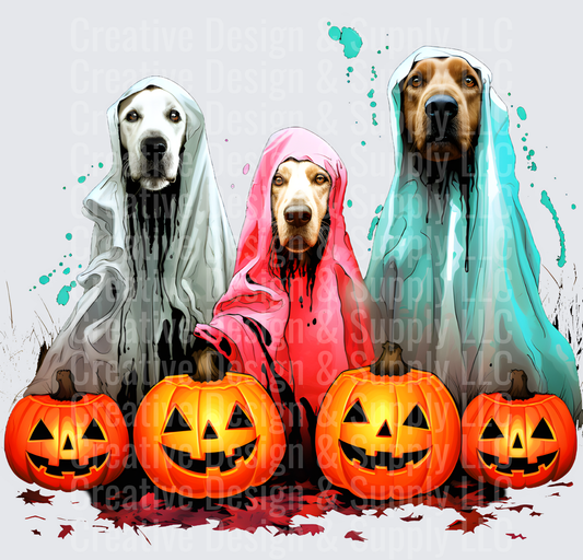 Halloween 2351