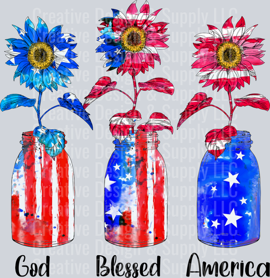 4th of July 2225