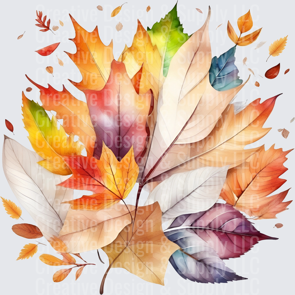 Fall 2301
