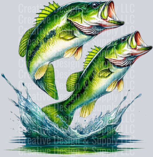 Fishing 2432