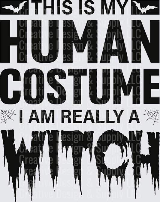 Halloween 2329