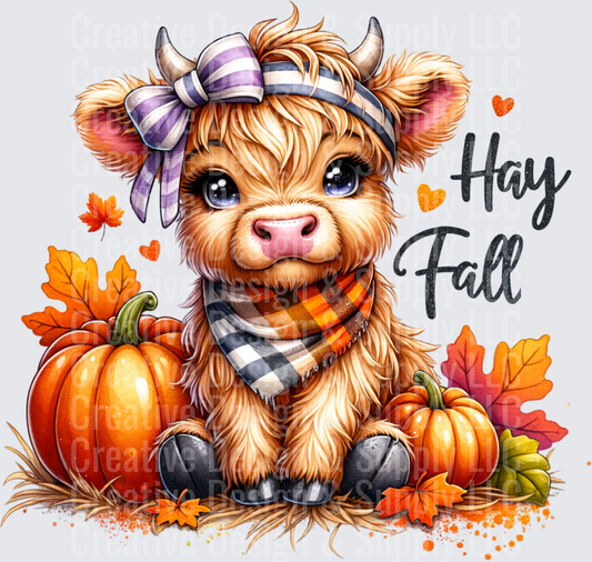 Halloween 2428
