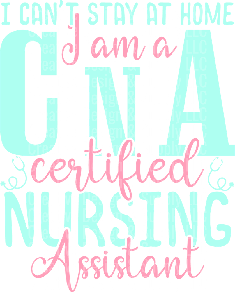 CNA 2401